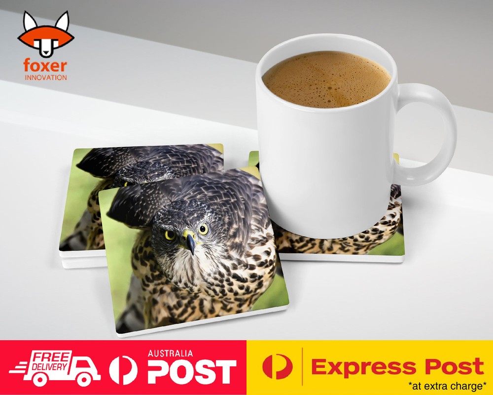 COASTER COFFEE DRINKING MAT|COOL BROWN HAWK EAGLE BIRD #25