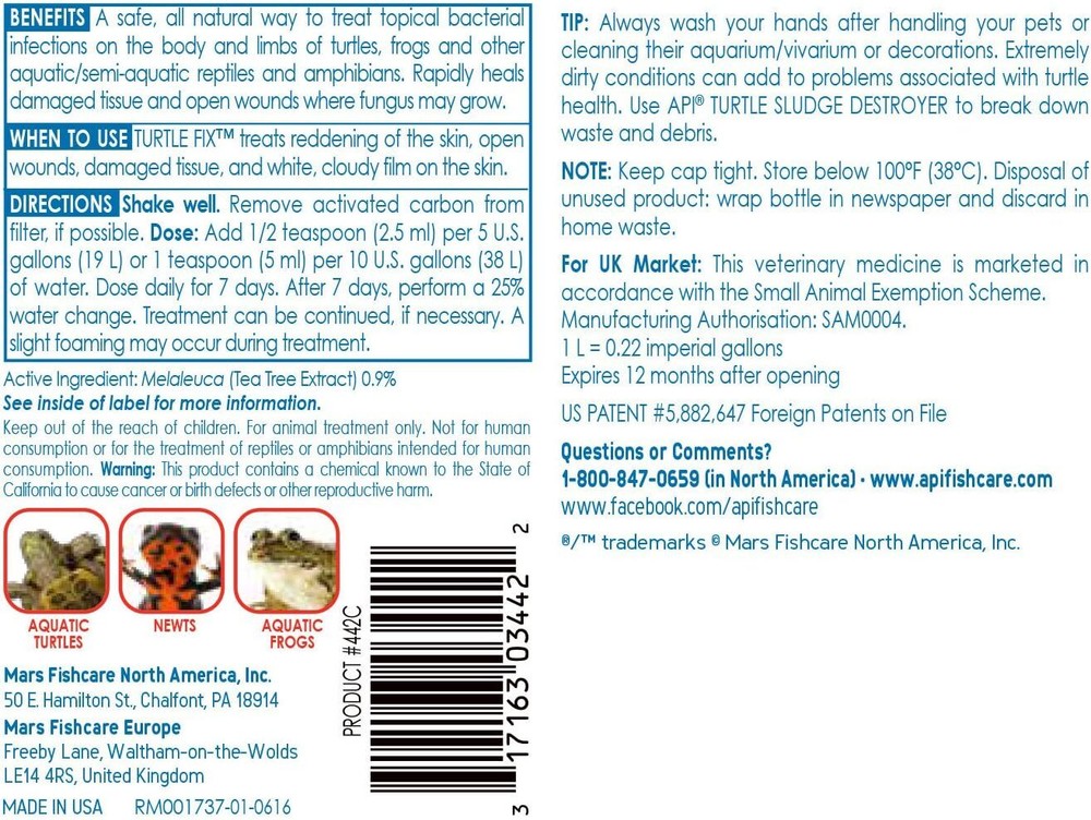 API TURTLE FIX Nonbacilli Turtle Remedy 4-Ounce Bottle