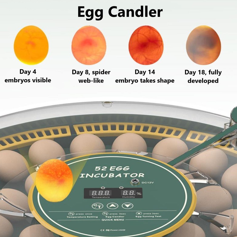 HBN 52 Egg Incubator with Automatic Egg Turning & Temperature Control