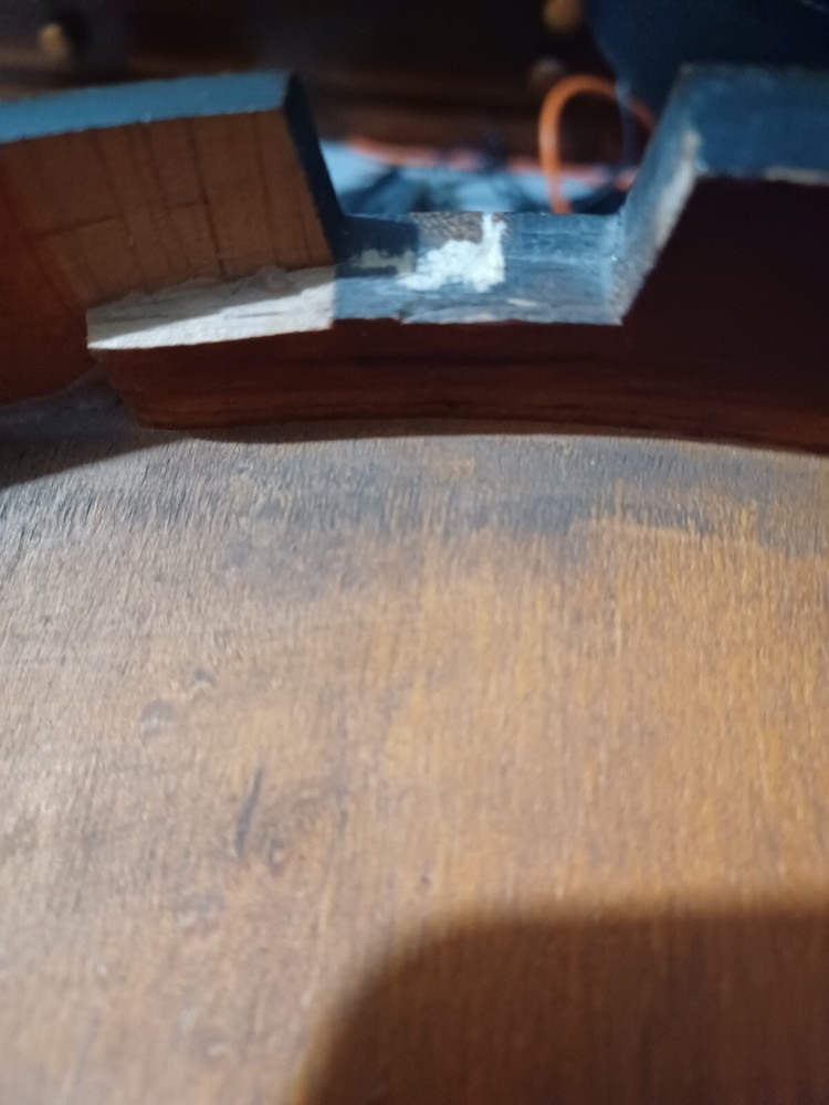 Bacon banjo banjolin