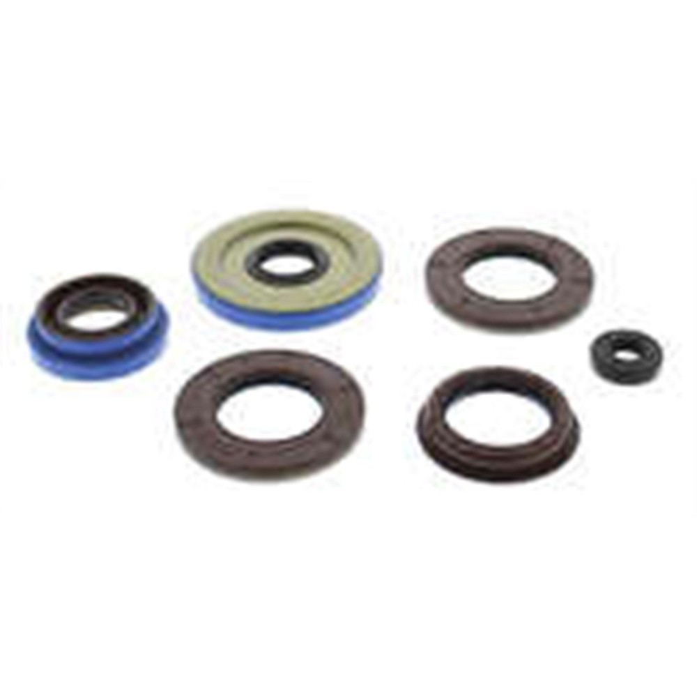 QuadBoss Oil Seal Set 822198