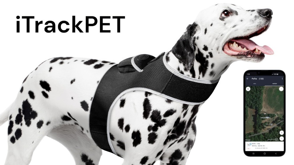 iTrackPET MINI GPS Dog Tracking and Training Collar Device