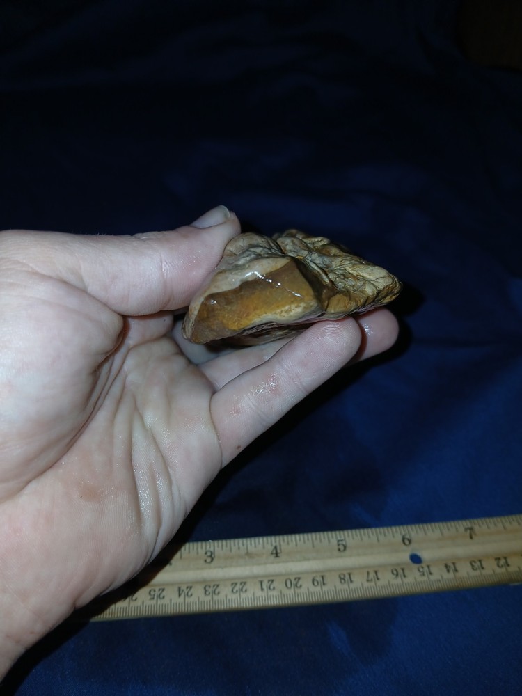 8 oz Texas Petrified Wood