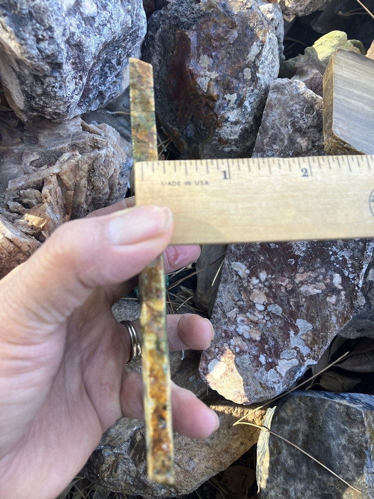Rainforest Jasper Slab