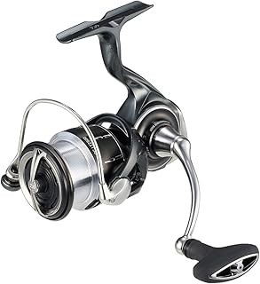 NEW Daiwa ルビアス Japan