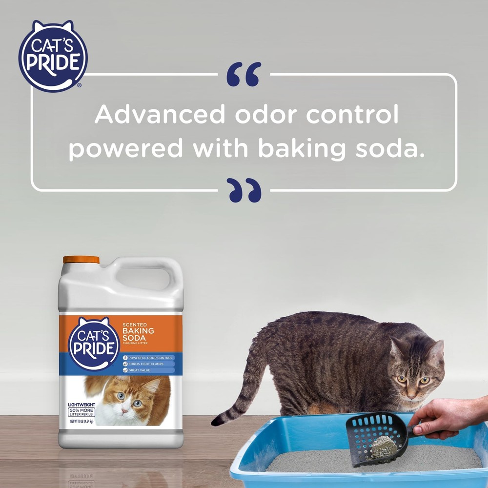 Cat's Pride Lightweight Clumping Litter: Baking Soda - Powerful Odor Control ...