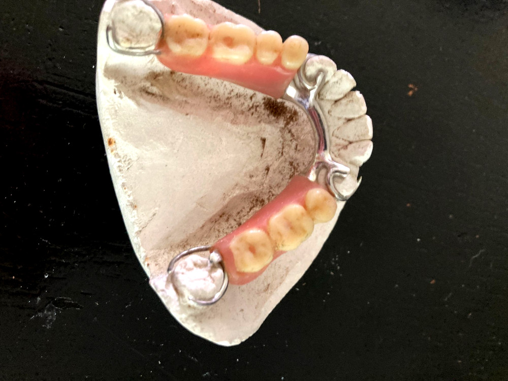 Dental Bridge Plate Training Aid