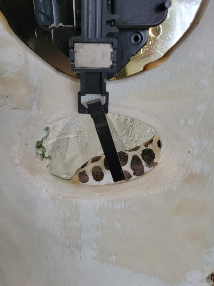 Endangered Species Giraffe Quartz Clock