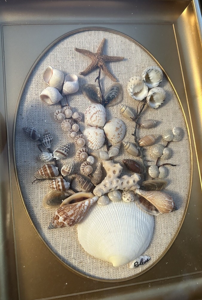 Vtg Hand Crafted Seashell Signed Art in GoldFrame 8” X 6”