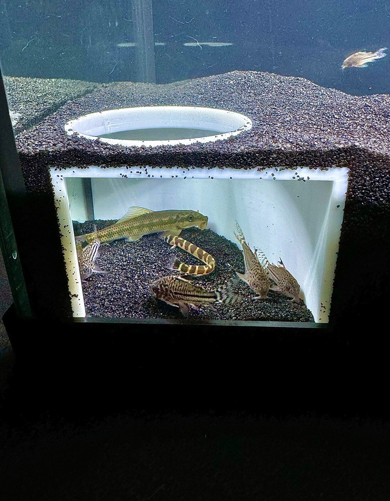 Aquarium Corner Hole Cave Underground Viewing Hide Fish Tank Decor Hide