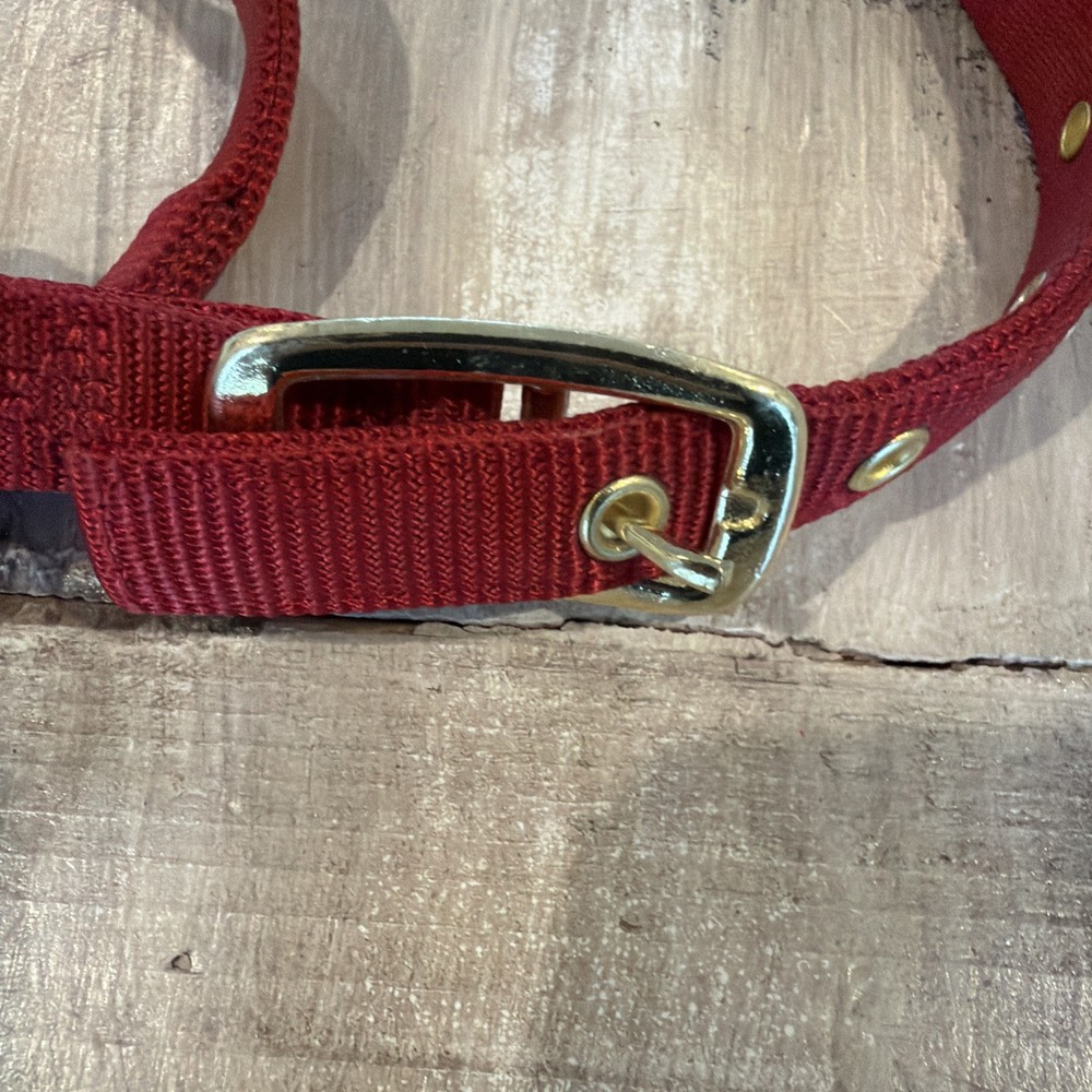 valhoma halter
