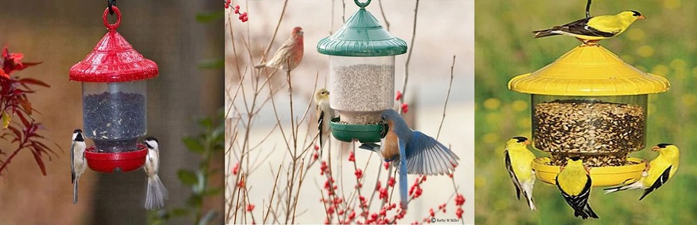 Clingers Only Bird Feeder