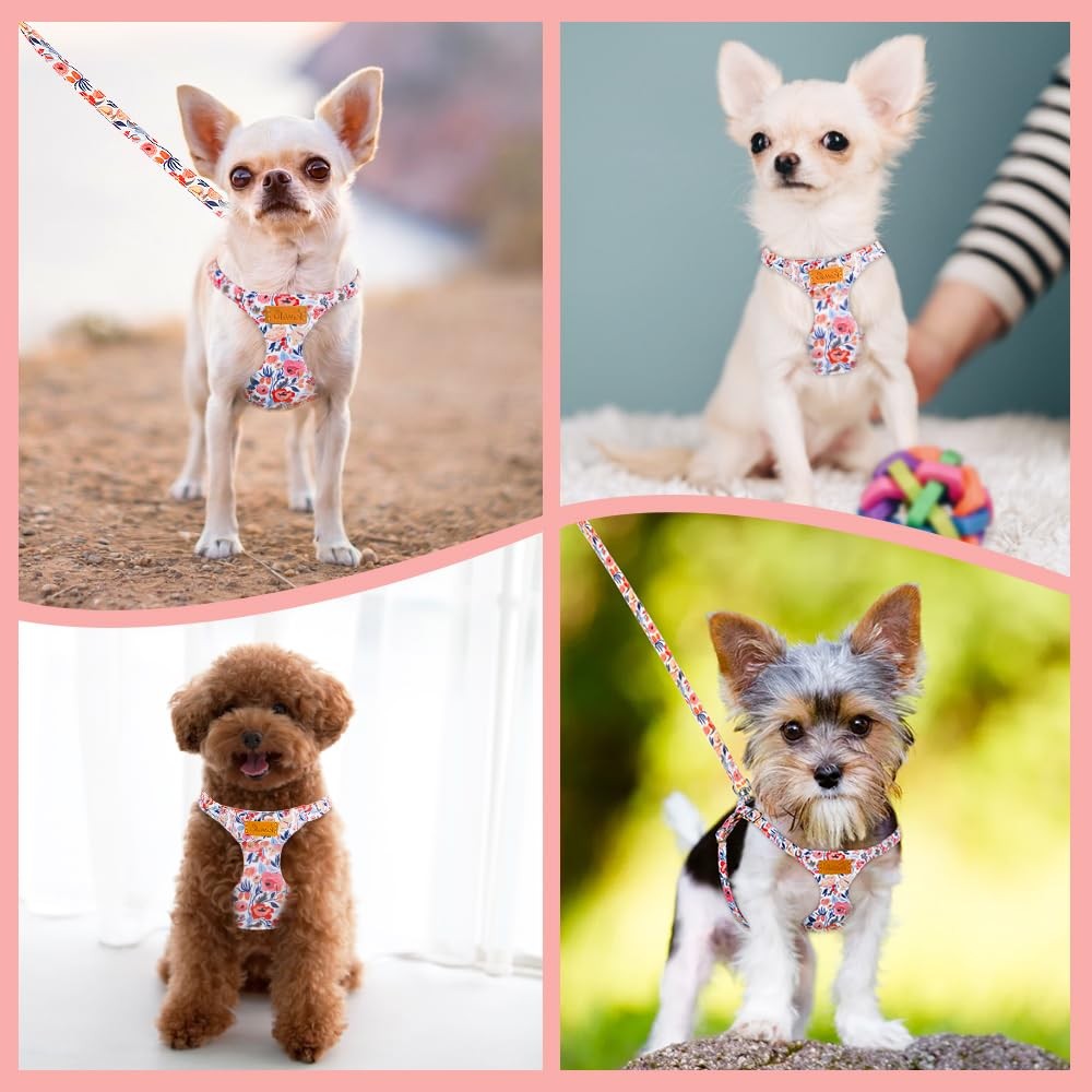 No Pull Dog Harness with Leash - Soft Lightweight Floral Pattern Puppy Harnes...