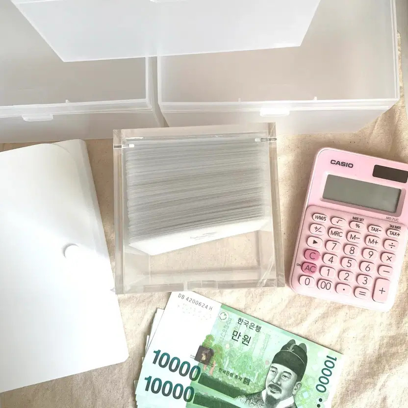 Kitty 100-Day Savings Challenge + Saving Box