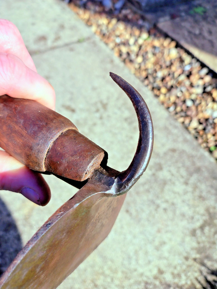 Vintage W Gilpin Pig scraper / hog scraper in nice condition