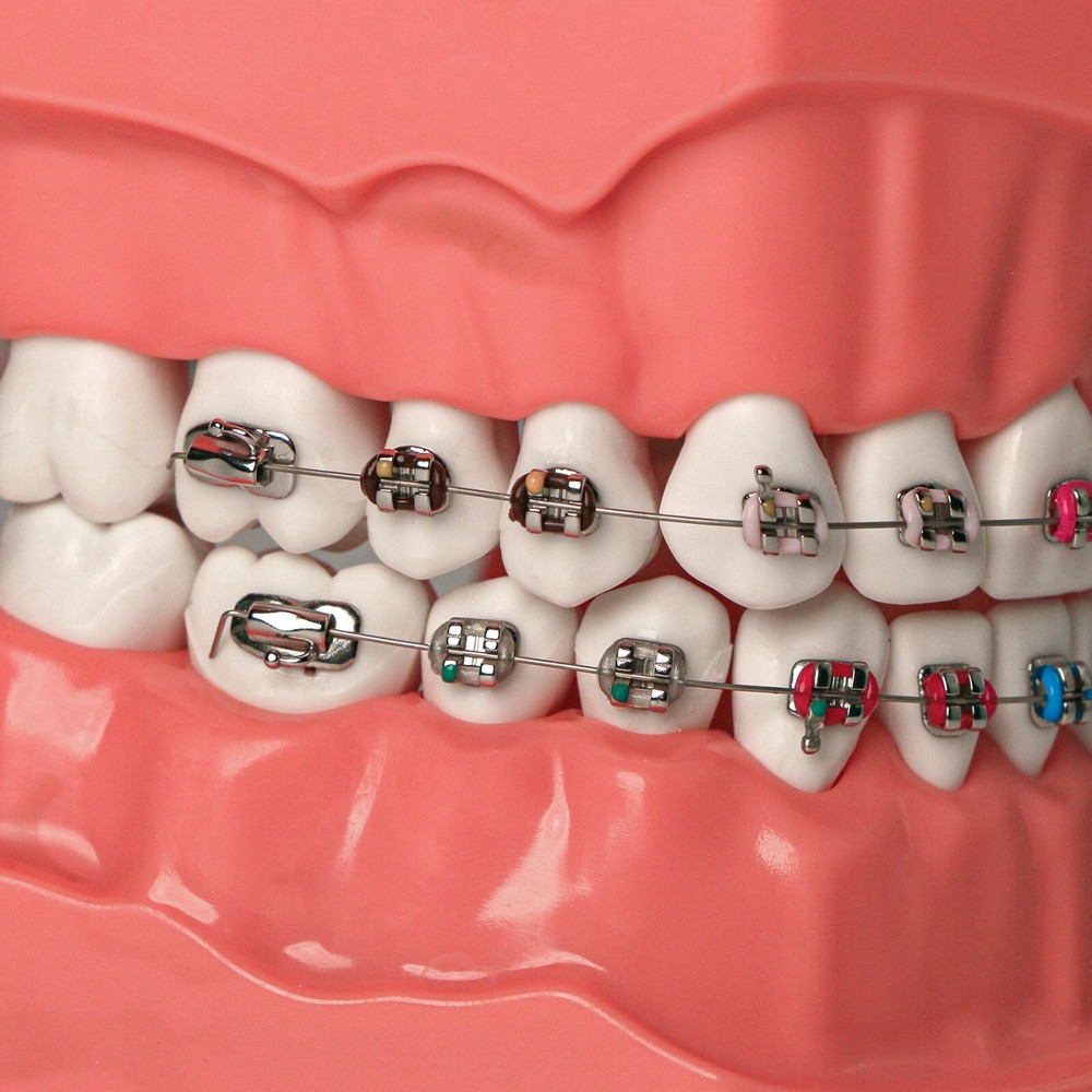 US Dental Typodont Demo Teeth Model1:1 Brushing Flossing Teaching Practice Study