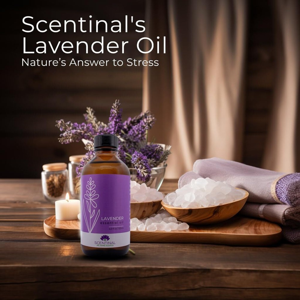Scentinal Lavender Essential Oil - 100% Pure, Natural & Authentic - Extra Large