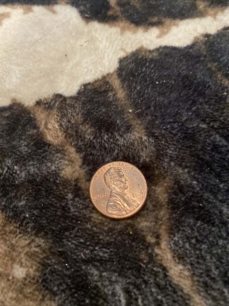 2009 D LINCOLN BICENTENNIAL CENT PENNY FORMATIVE YEARS"ERROR