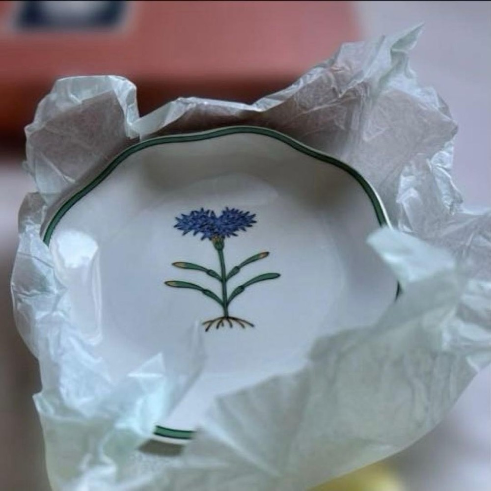 Tachikichi Plate 5 Set