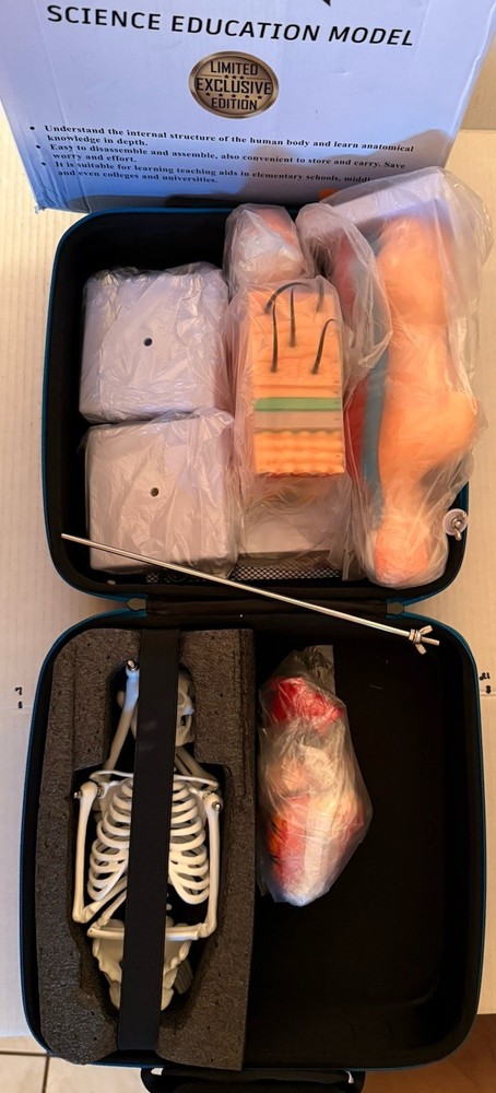 Human Anatomy Science Education Model Set