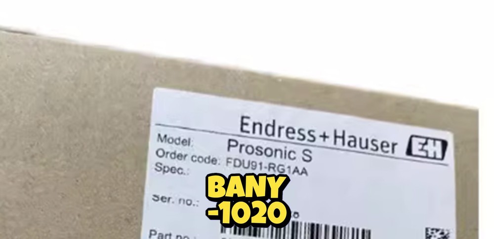 NEW FDU91-RG1AA E+H Sensor