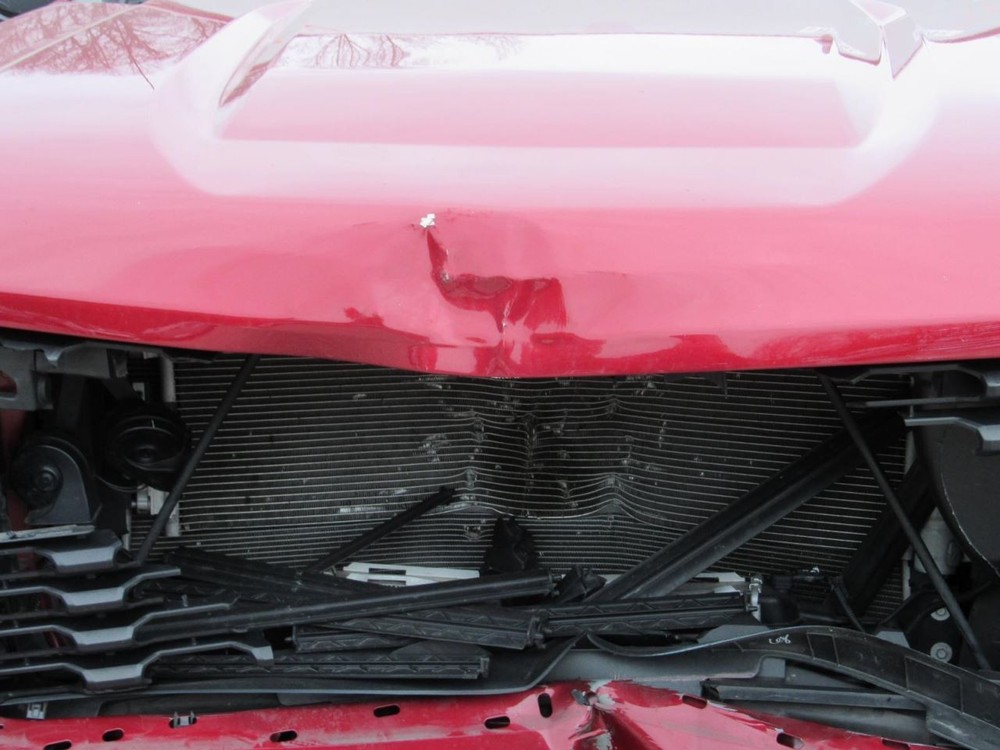 SILVERADO 1500 2020 Glove Box 1031727