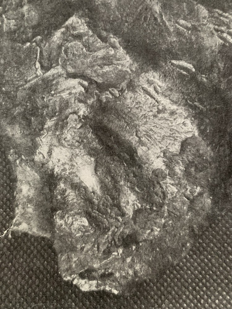 ANCIENT PHARAOH ETCHED IMAGE FOUND ON IRON METEORITE SPEAR ARTIFACT RELIC