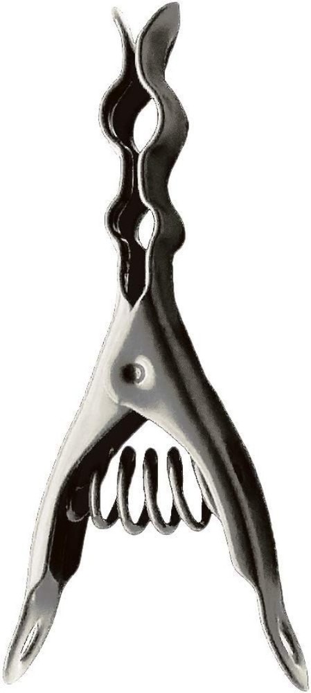 Heavy Duty Stainless Steel Clips 20 Pack