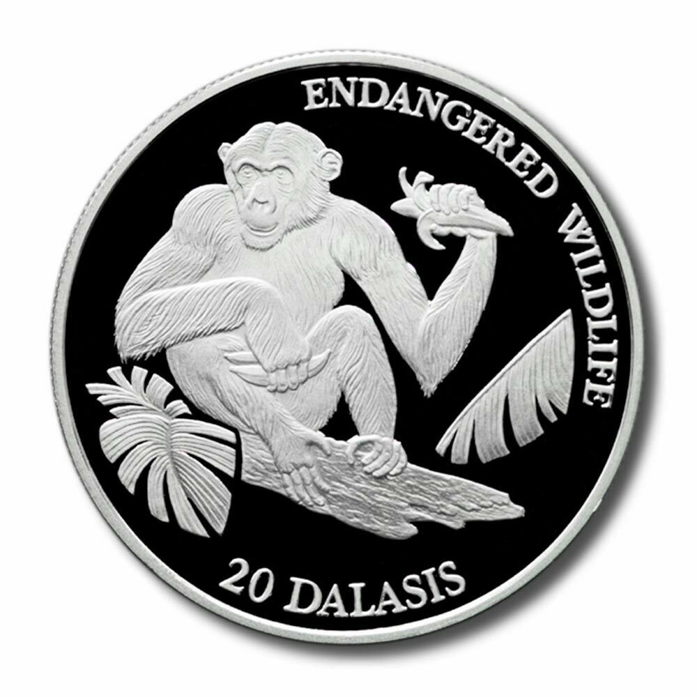 1994 Gambia Large Silver Proof  25 Dalasis Chimpanzee
