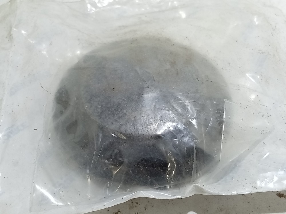 TOTAL SOURCE HY1450503 BUTTON- HORN (E11D2)