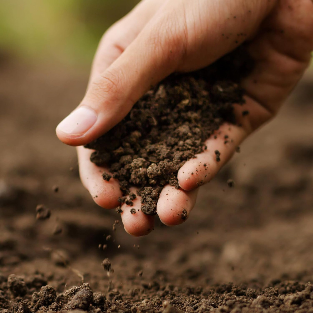 20 Lb General Purpose Moisture Retaining Potting Soil Mix