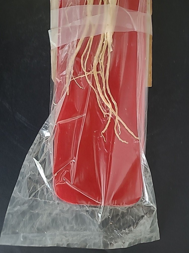 Vintage Ginseng Root Packged