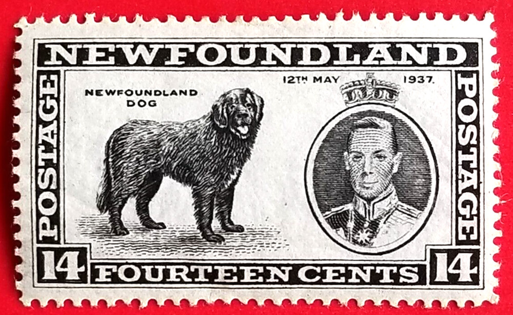 Canada Newfoundland #238 Long Coronation Issue MH