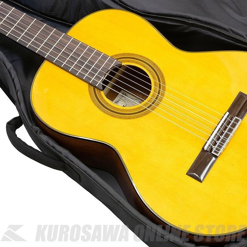 ARIA Basic Mini Classical Guitar 580mm Scale Spruce Top Sapele Sides & Back