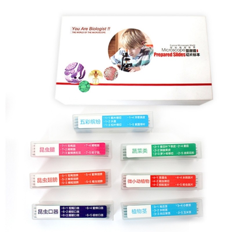 35PCS Strong Microscope Prepared Slides Seven Biological Specimens for Science
