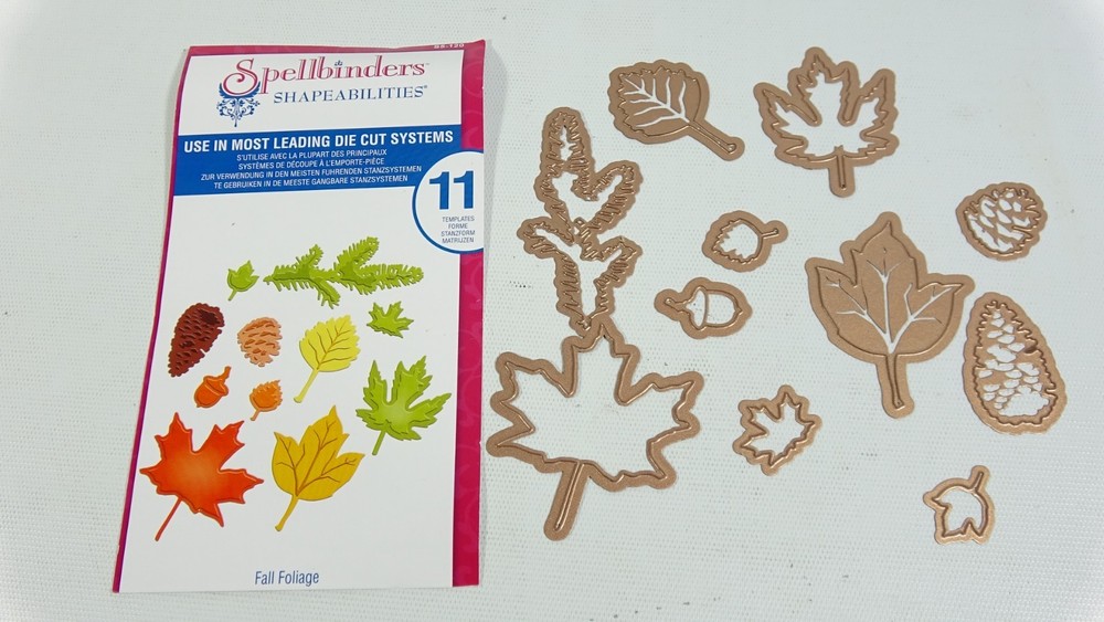 Spellbinders Shapeabilities Fall Foliage Craft Dies S5120