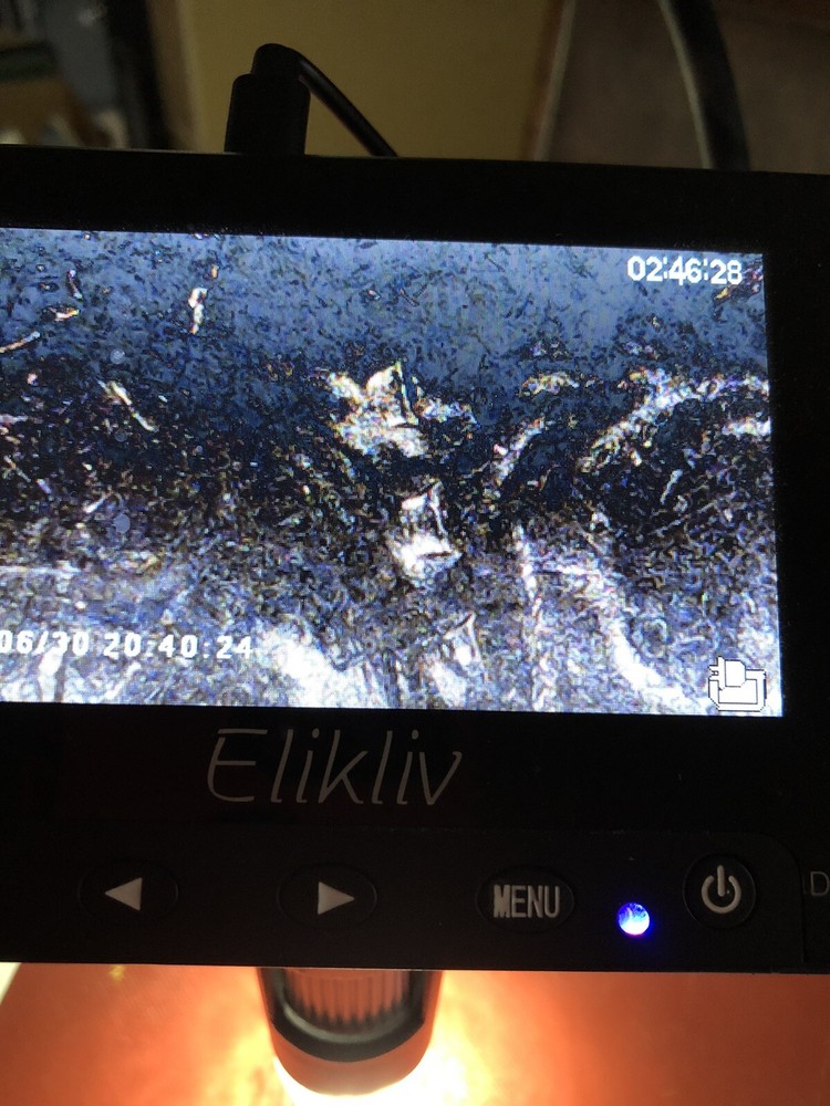 2018 D Washington Quarter Die Chip Error#15