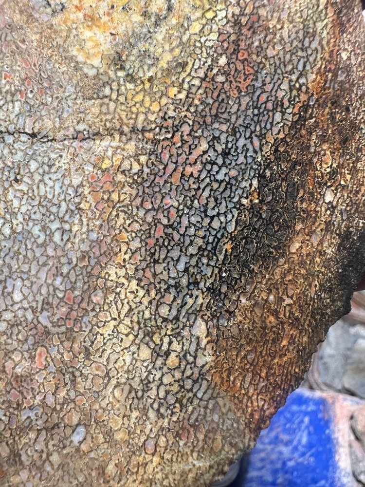 Dinosaur bone rough **hxtled slab.