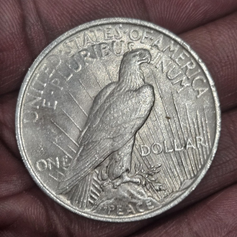 1923 Peace Silver Dollar $1 90% Silver Excellent Condition Nice Coin