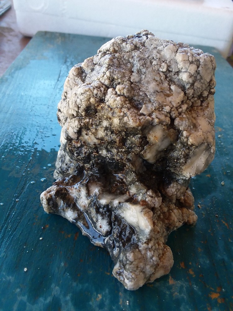 Lapidary Howlite Window Cut Spider Veining Collect Display