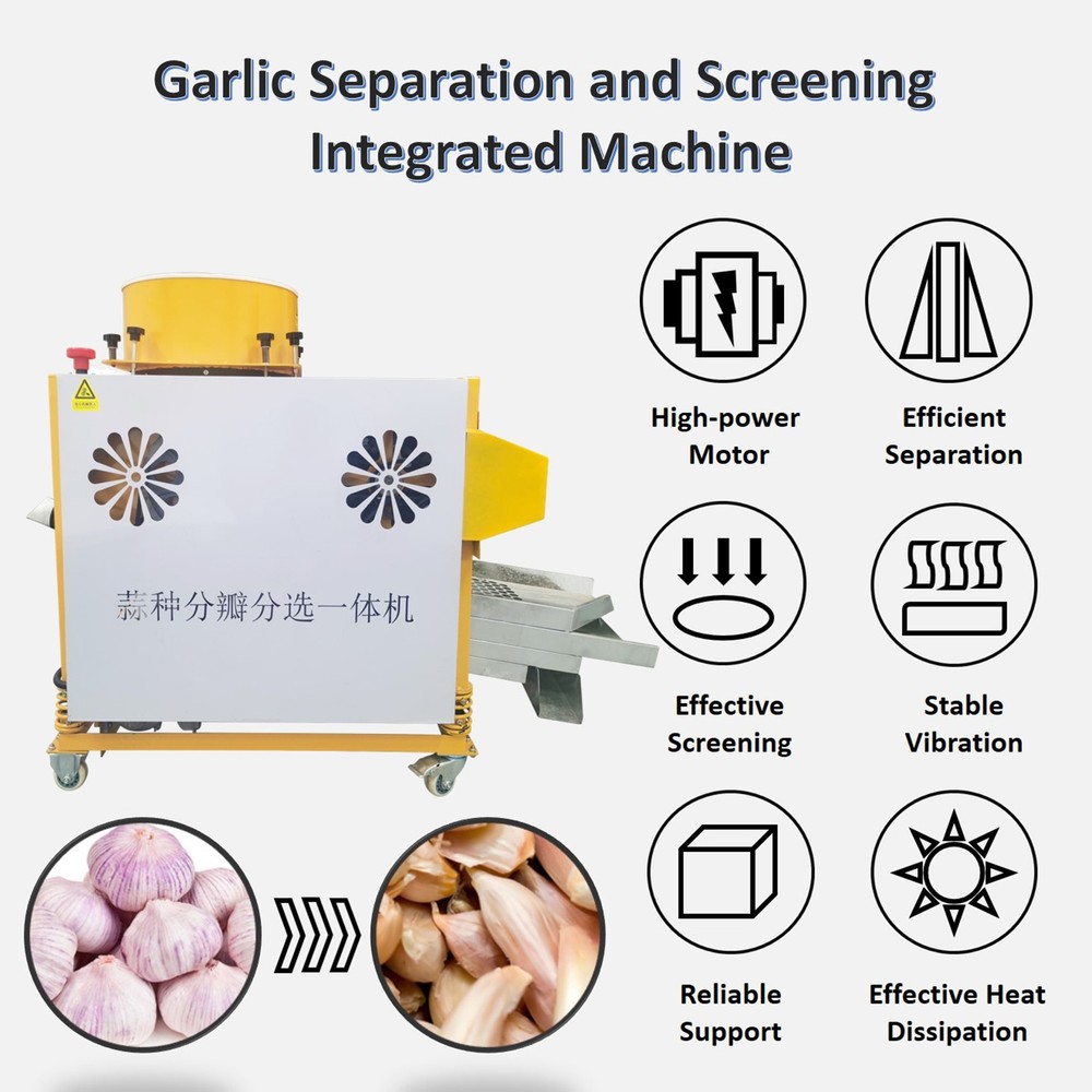 Auto Garlic Clove Separator Bulb Breaking Machine Seed Sorting & Dicing Peeler