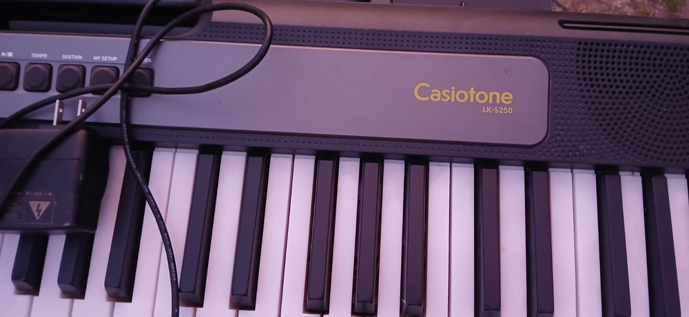 Casio LK-S250 Electronic Keyboard Black Tested Working