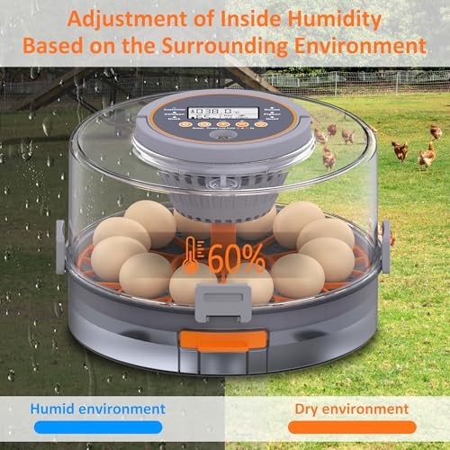Automatic Egg Incubator with Humidity Control & Temp Adjustment, 12 Eggs Capacit
