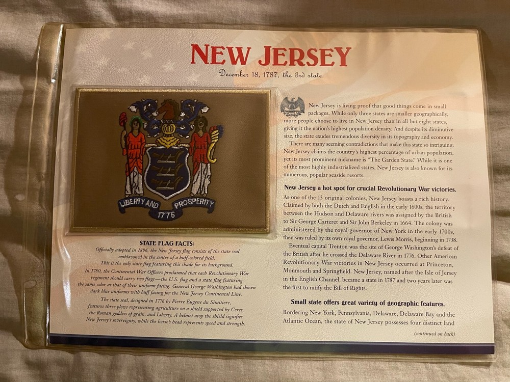 WILLABEE & WARD FLAG PATCH PANE ****NEW JERSEY