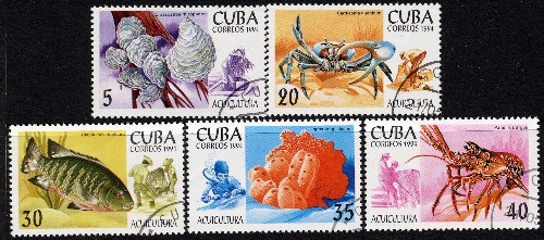 1994 - Aquaculture (5) CTO