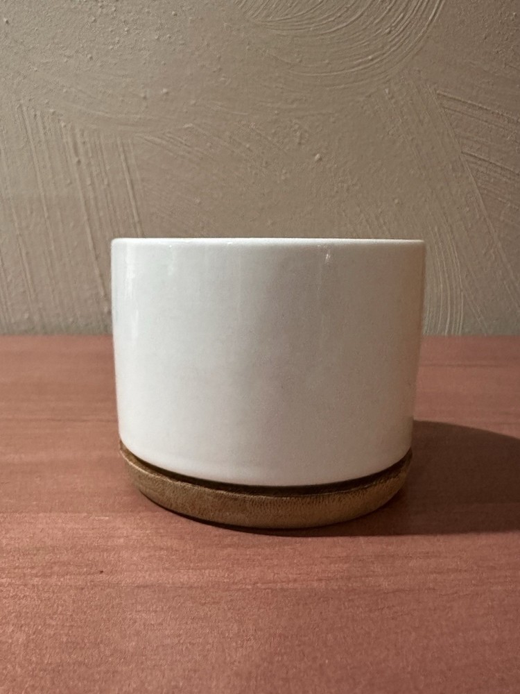 Rae Dunn Inspired Planter