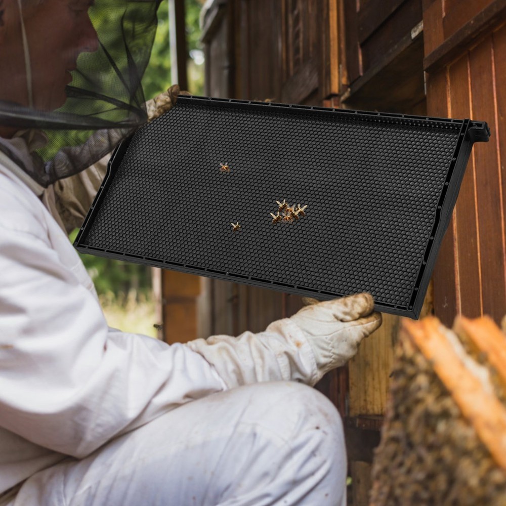 Beehive Frame with Black ABS Plastic and Wax Foundation for Beekeeping Use