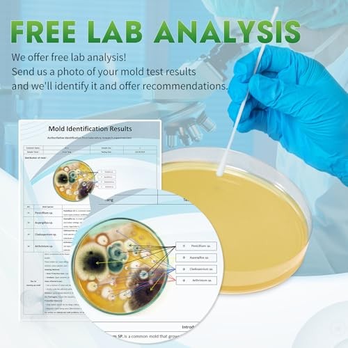 Mold Test Kit for Home with Free Lab Analysis, 5 Tests
