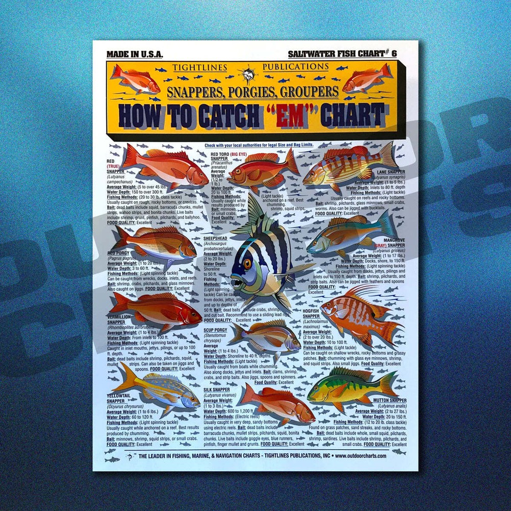 Saltwater Chart Set