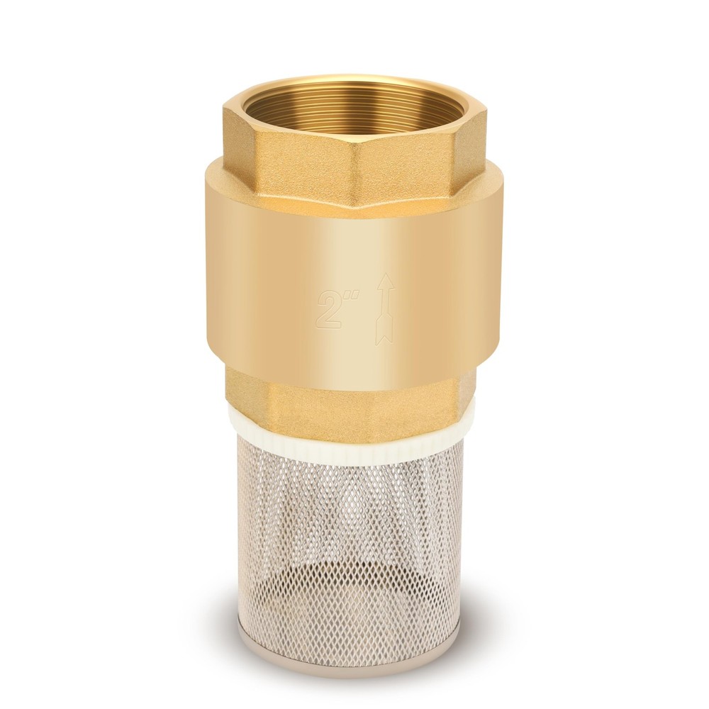 Foot Valve with Filter 2" NPT, Brass Bottom Valve, Non Return Spring Vertical...